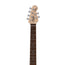 Sterling by Music Man Cutlass CT30SSS Electric Guitar, Laurel FB, Charcoal Frost (CT30SSS-CFR-R1)